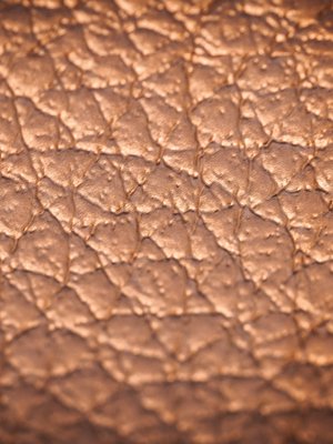 Leather Industry & Artificial Industry